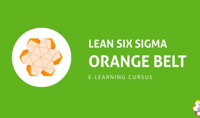 Lean Six Sigma - Orange Belt